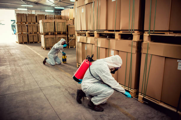Best Best Pest Control Near Me  in Dock Junction, GA