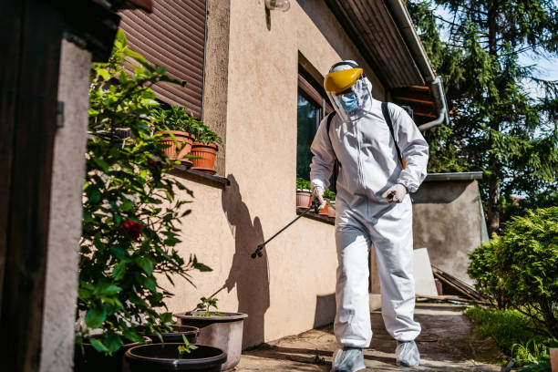 Best Emergency Pest Control  in Dock Junction, GA