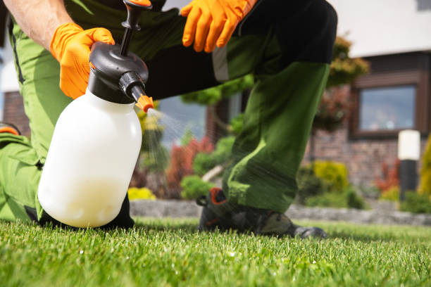 Best Pest Inspection Near Me  in Dock Junction, GA