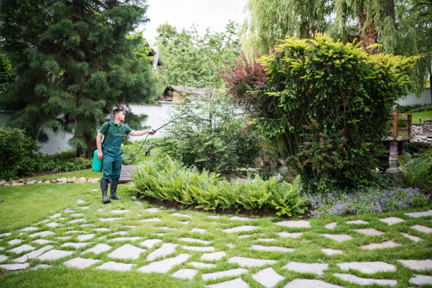 Best Pest Removal Services  in Dock Junction, GA