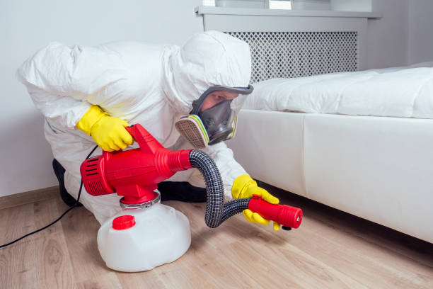 Best Termite Control Services  in Dock Junction, GA