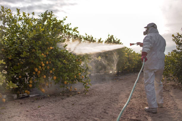 Dock Junction, GA Pest Control Company