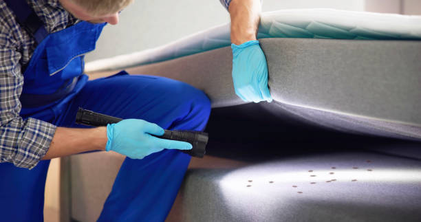 Best Affordable Pest Control Services  in Dock Junction, GA