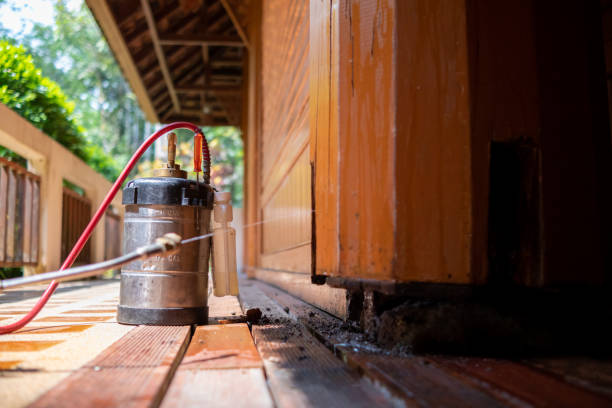 Best Rat Extermination Near Me  in Dock Junction, GA