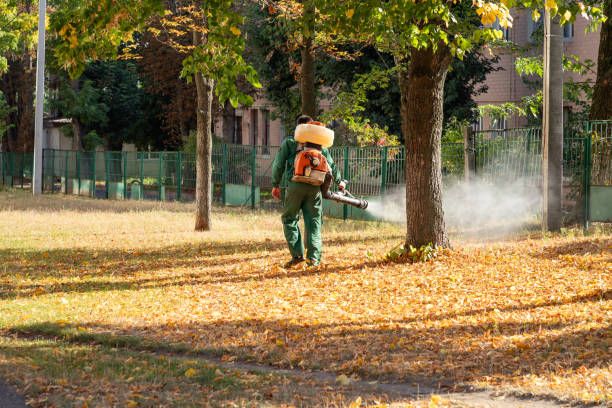 Best Best Pest Control Companies  in Dock Junction, GA