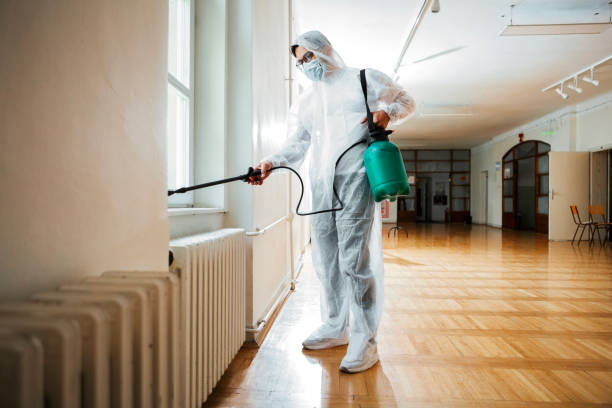 Trusted Dock Junction, GA Pest Control Experts