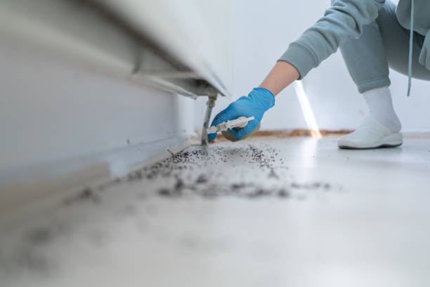 Pest Control for Restaurants in Dock Junction, GA